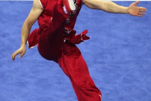 Giành 1 Huy chương bạc và 3 huy chương đồng giải Vô địch quốc gia môn Wushu