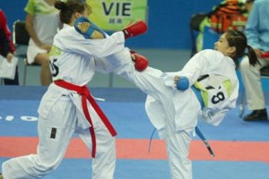 Tại Hội thảo khoa học : “HàNội sẽ có huy chương Olympic hay không? “