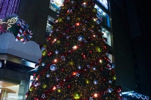 Những cây thông Noel 2013 lộng lẫy nhất Hà Nội