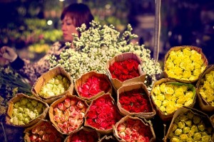 Điểm hẹn đêm của các loài hoa ở Hà Nội