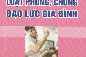 Luật phòng chống bạo lực gia đình