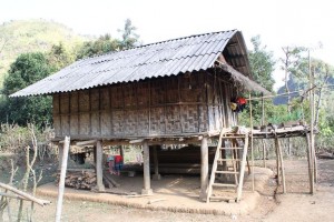 Triển khai Thông tư 23/2011/TT-BVHTTDL Quy định thu thập, xử lý thông tin về gia đình và phòng, chống bạo lực gia đình