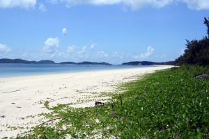 Kinh nghiệm đi du lịch đảo Cô Tô