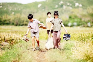 Chiếu miễn phí 20 phim tranh giải Bông Sen Vàng