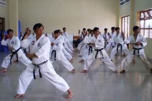 Ban hành Thông tư quy định điều kiện hoạt động của cơ sở thể thao tổ chức hoạt động Karatedo