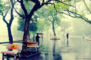 Ấn tượng Hà Nội
