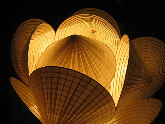 images928776_NONLAVN