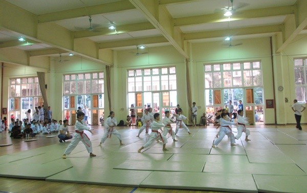 Môn thể thao thu hút nhiều bạn nhỏ là các lớp võ: Teakwondo, Vovinam, Aikido, Võ cổ truyền…