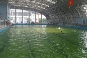 HUYỆN THANH TRÌ GIÚP TRẺ  EM PHÒNG, TRÁNH TAI NẠN ĐUỐI NƯỚC