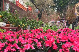 Chợ hoa Hàng Lược ngày giáp Tết