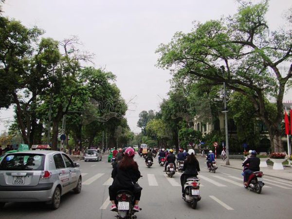 Phố Đinh Tiên Hoàng đoạn từ tháp Hòa Phong đến đền Bà Kiệu được đề xuất xây dựng ‘Tuyến đường ghi danh’ – ảnh Internet