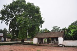 Tu bổ, tôn tạo di tích đình Đoài Giáp