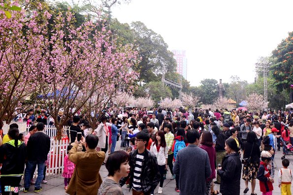 Triển lãm hoa Anh đào năm 2016 được đông đảo người dân và du khách đến tham quan và chiêm ngưỡng