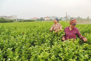 Huyện Sóc Sơn triển khai công tác quản lý nhà nước về gia đình