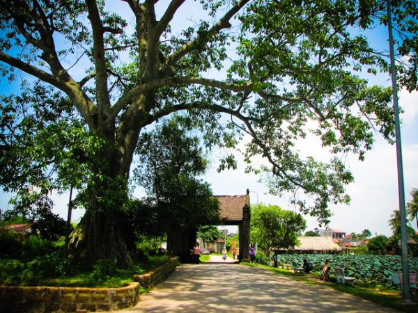 Cổng làng Mông Phụ