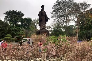 Hoa anh đào sẽ khoe sắc trên phố đi bộ Hồ Gươm
