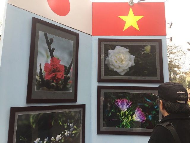 Triển lãm ảnh về các loài hoa cũng được nhiều người quan tâm