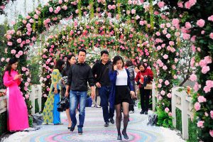 Sở Văn hóa & Thể thao Hà Nội yêu cầu khắc phục hạn chế tại Lễ hội Hoa hồng Bulgaria