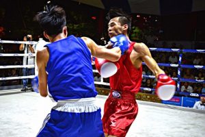 Giải Vô địch cúp các Câu lạc bộ boxing toàn quốc: Hà Nội nhất toàn đoàn