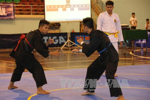 Các vận động viên thi đấu ở hạng 75 kg đối kháng (ảnh TTXVN)