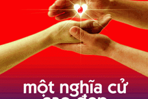 Ngày 14/6 hàng năm – Ngày thế giới tôn vinh người hiến máu