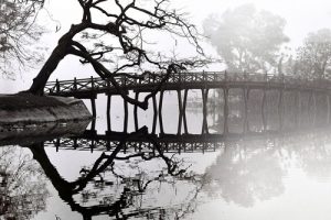 Triển lãm ’10 năm – Vì tình yêu Hà Nội’