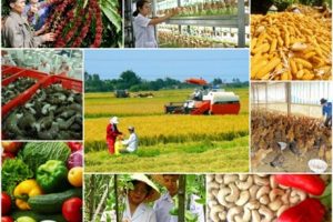 Huyện Mỹ Đức: Triể khai nhiều giải pháp phát triển kinh tế, xã hội