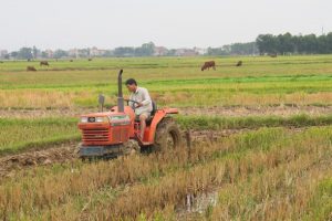 Huyện Sóc Sơn xây dựng nông thôn mới