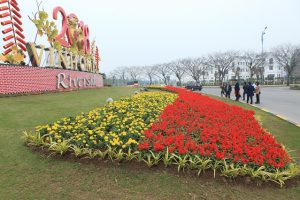 Hoa cây cảnh với văn minh đô thị ở Thủ đô