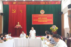 Đẩy mạnh tuyên truyền, vận động, hỗ trợ nông dân nâng cao chất lượng sản phẩm, kết nối cung cầu