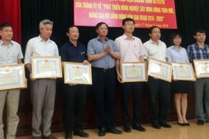 Thị xã Sơn Tây Phấn đấu hoàn thành xây dựng nông thôn mới