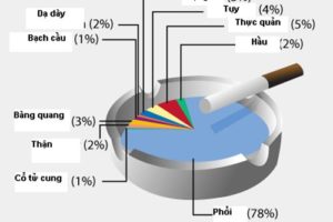 Thường Tín tăng cường công tác phòng, chống tác hại thuốc lá
