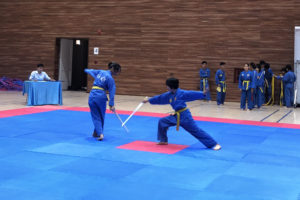 Hơn 200 VĐV tham dự Giải Vovinam các câu lạc bộ Hà Nội 2018