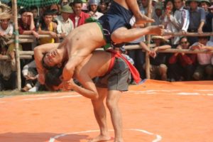 Tiến tới thành lập Liên đoàn Vật Việt Nam