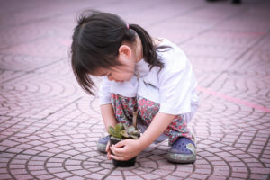 Vì một Việt Nam xanh