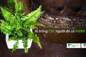 Hà Nội với Ngày hội trồng cây Hạnh Phúc Xanh