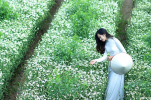 Hanoidep.vn – Nhiều góc nhìn về một Hà Nội