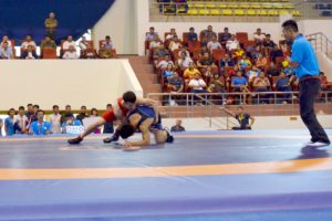 Hà Nội nhất toàn đoàn môn Vật Đại hội thể thao toàn quốc lần VIII