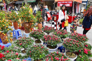 Chợ hoa Hàng Lược – nét văn hóa đẹp của người Hà Nội