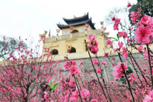 Nhiều hoạt động văn hóa truyền thống hấp dẫn mừng Xuân Kỷ Hợi tại Hoàng thành Thăng Long