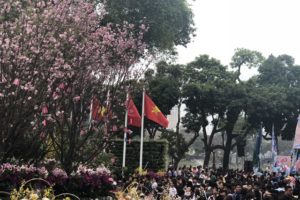 Lễ hội hoa anh đào Nhật Bản – Hà Nội 2019 sẽ khai mạc vào 29/3 tới