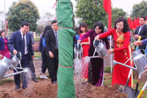 Hà Nội đặt mục tiêu trồng 15.000 cây xanh trong phong trào Tết trồng cây Xuân Kỷ Hợi 2019
