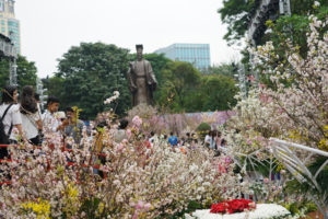 Lễ hội hoa anh đào Nhật Bản – Hà Nội sẽ được kéo dài đến hết ngày 02/4