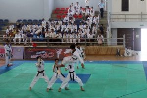 Chương Mỹ: Khai mạc giải Taekwondo năm 2019