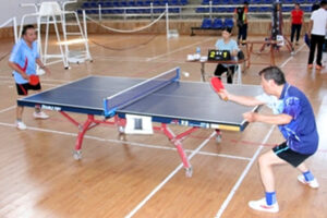 Chương Mỹ: Giải thi đấu bóng bàn và cờ tướng người cao tuổi