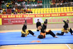 Hà Nội quyết tâm giành thành tích cao tại giải vô địch Pencak silat toàn quốc 2019