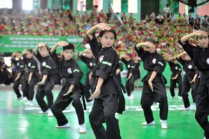 Đẩy mạnh các chương trình phát triển võ cổ truyền trong trường phổ thông