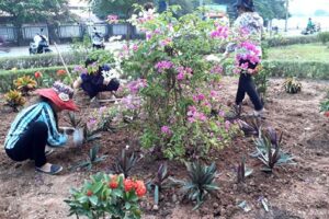 Hà Đông tích cực chỉnh trang, làm đẹp bộ mặt đô thị