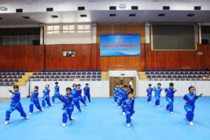 Gần 200 VĐV tranh tài tại giải Wushu hè TP Hà Nội 2020