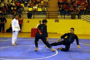 Giải Pencak Silat trẻ toàn quốc năm 2020: Hà Nội nhất toàn đoàn lứa tuổi 15-17, 18 – 20